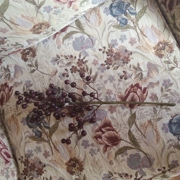 Berry stem - Picture 2 of 4